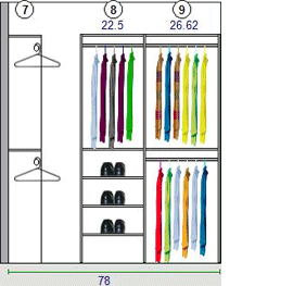 Shoe Shelves and Closet Hanging